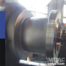 Cast Ss Ss304/Ss316/Ss304L/Ss316L RF Flanged Non Slam Check Valve